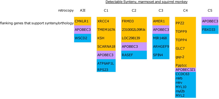 Figure 2—figure supplement 1.