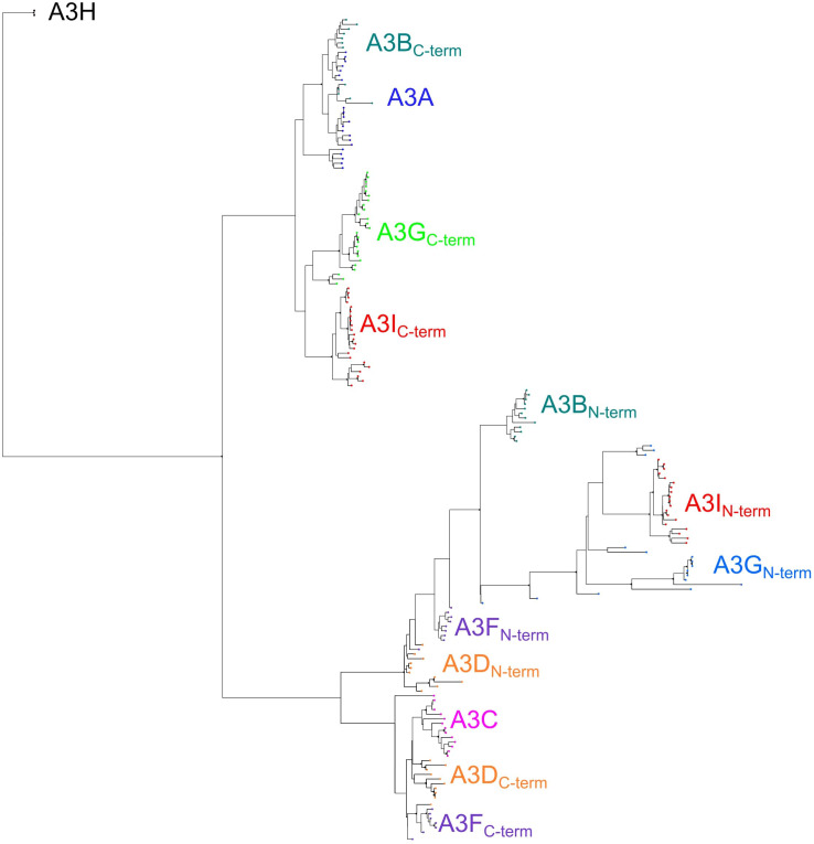 Figure 1—figure supplement 1.