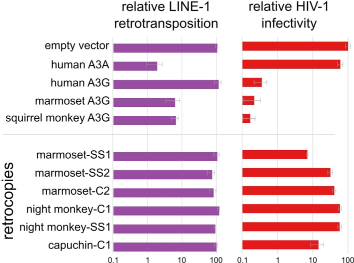 Figure 6.