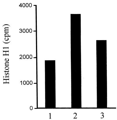 FIG. 6