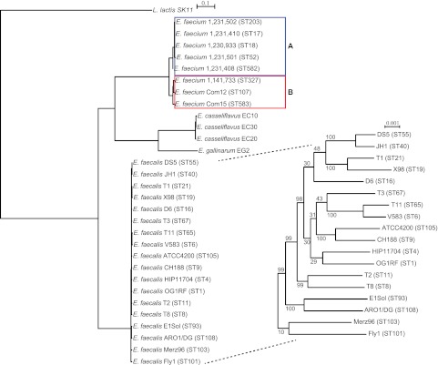 FIG 1 