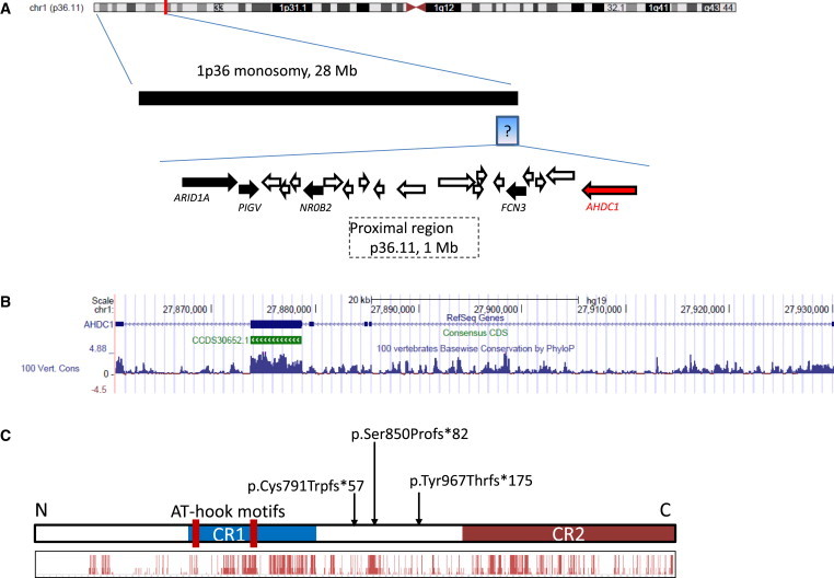 Figure 3