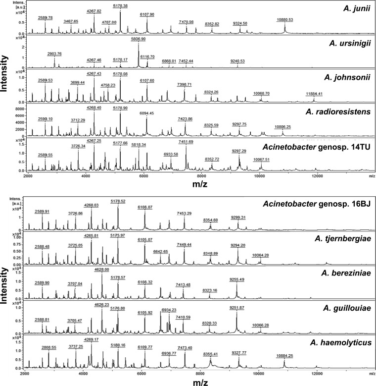 FIG 2