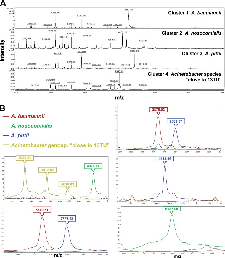 FIG 1