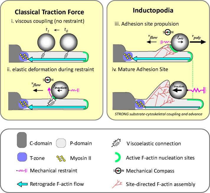 FIGURE 5: