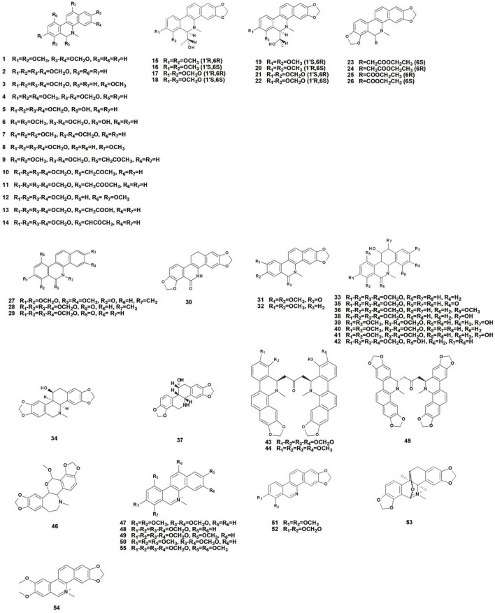 FIGURE 3