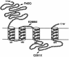 Figure  3