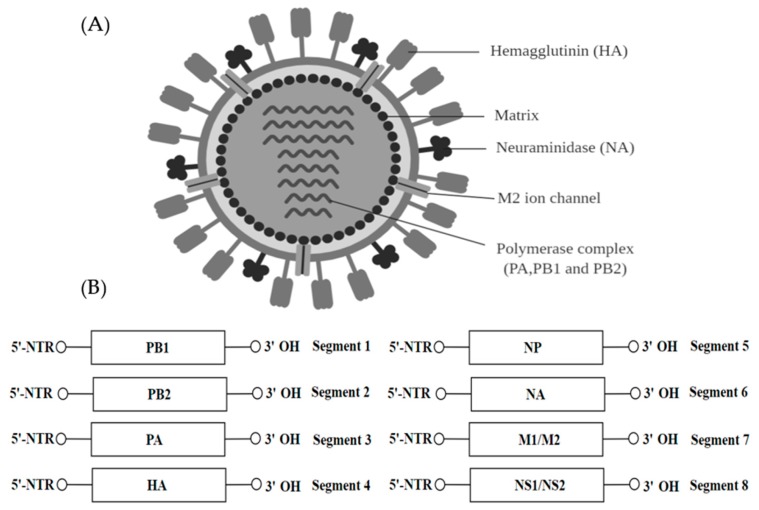 Figure 9