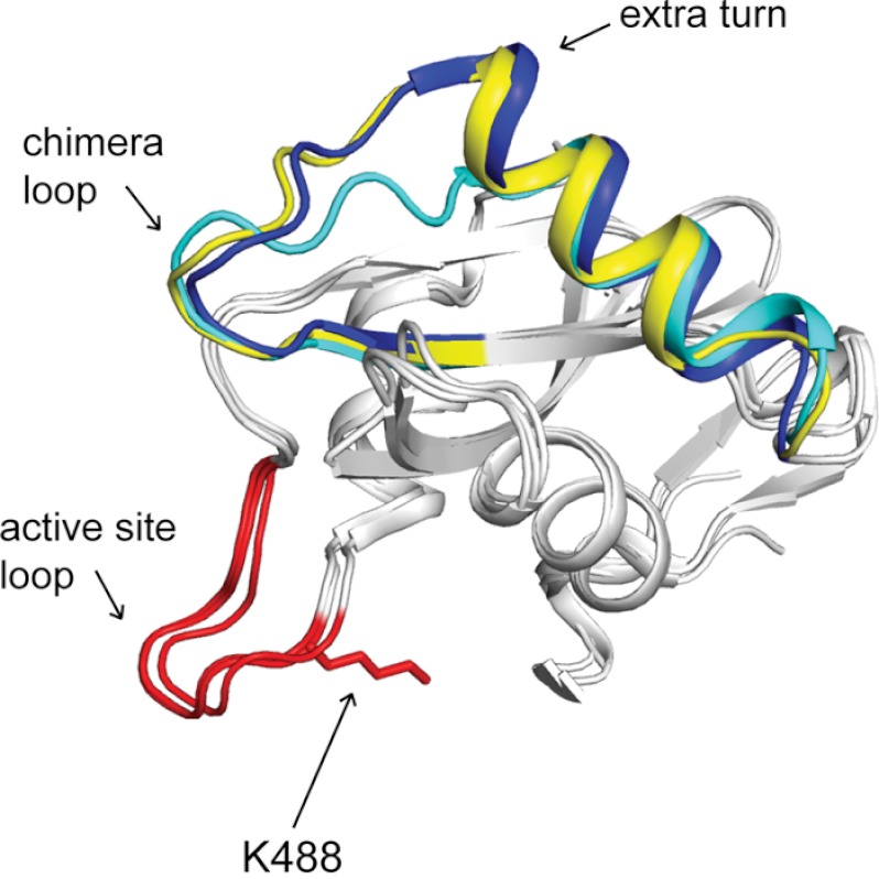 FIGURE 4.