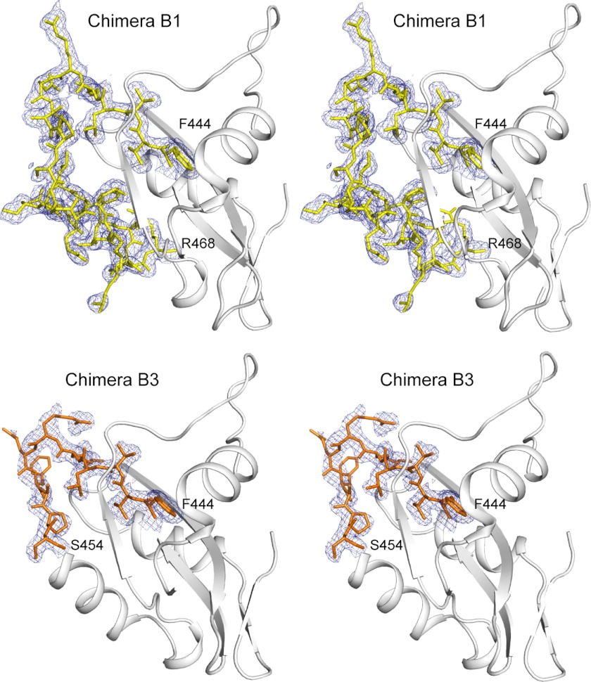 FIGURE 5.