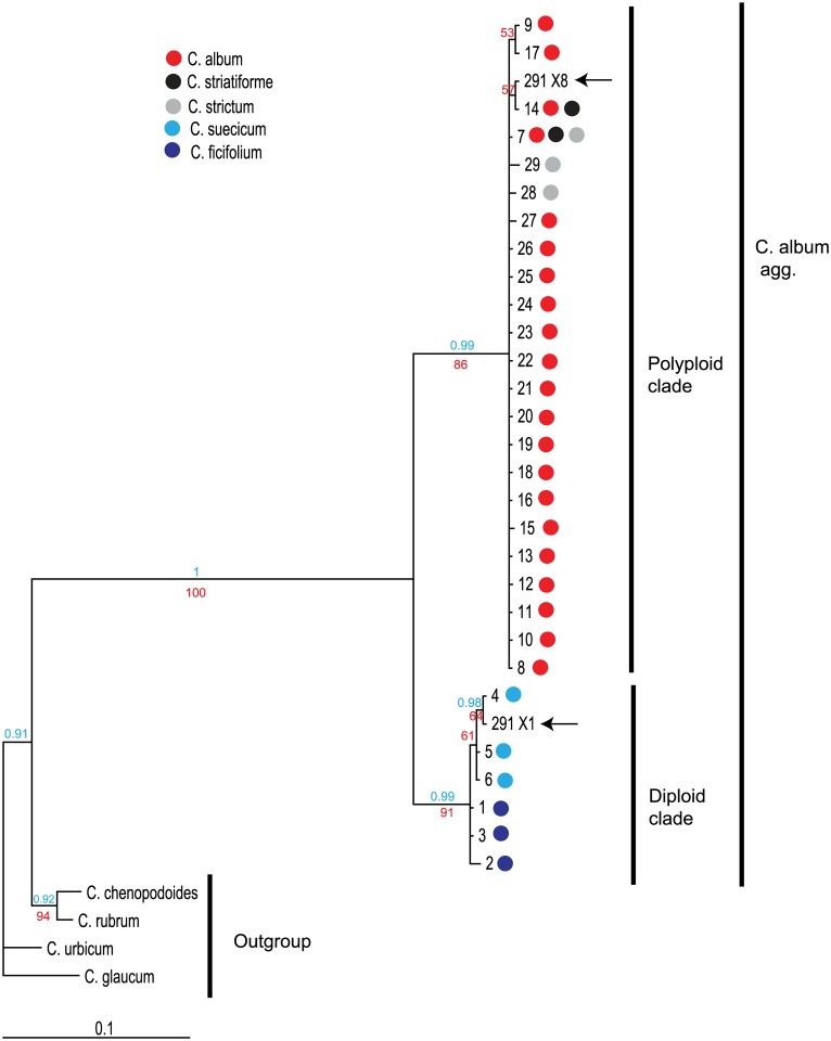 Fig 3