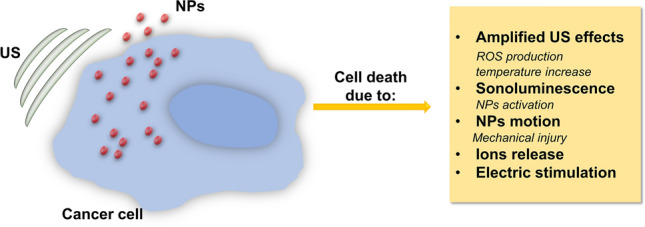 Fig. 10