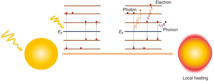 Fig. 7