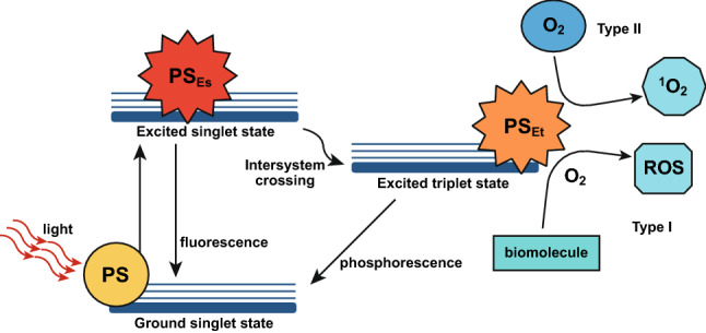 Fig. 8