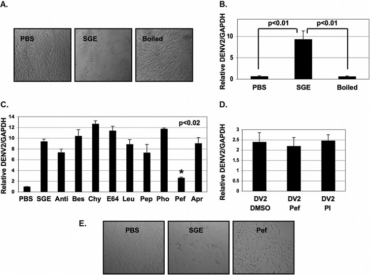 FIG 4