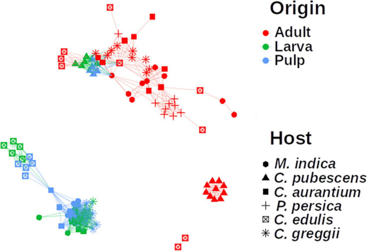 FIGURE 6