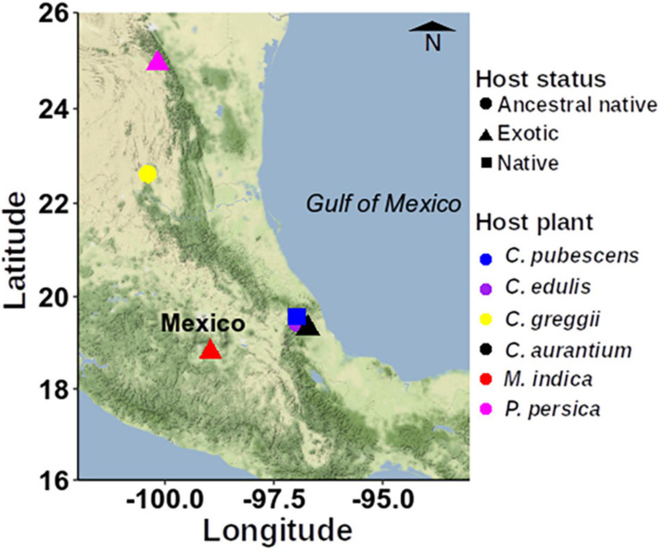 FIGURE 1