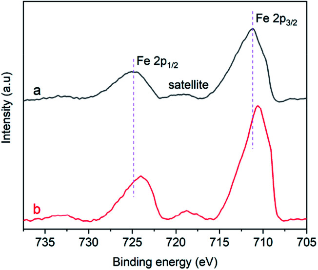 Fig. 9