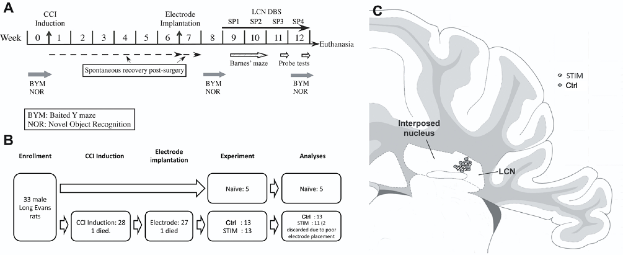 Figure 1: