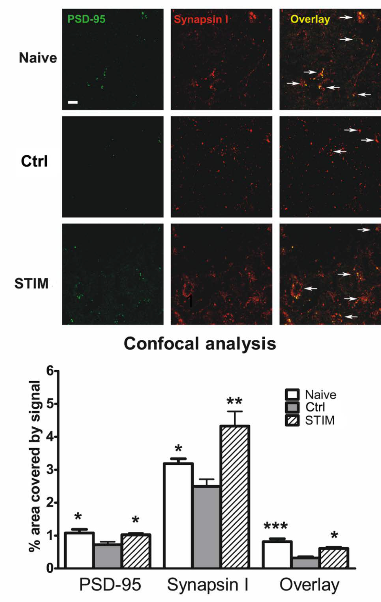 Figure 7: