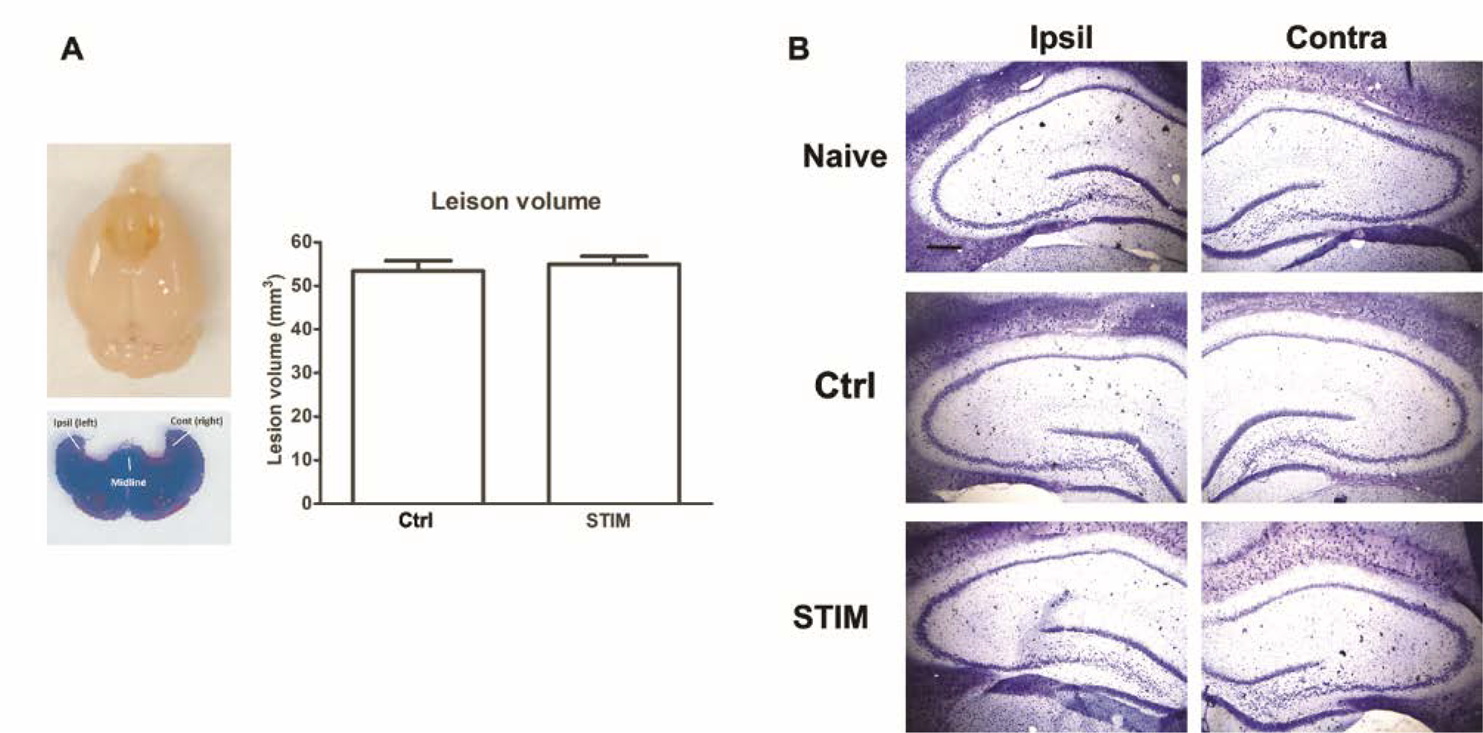 Figure 9: