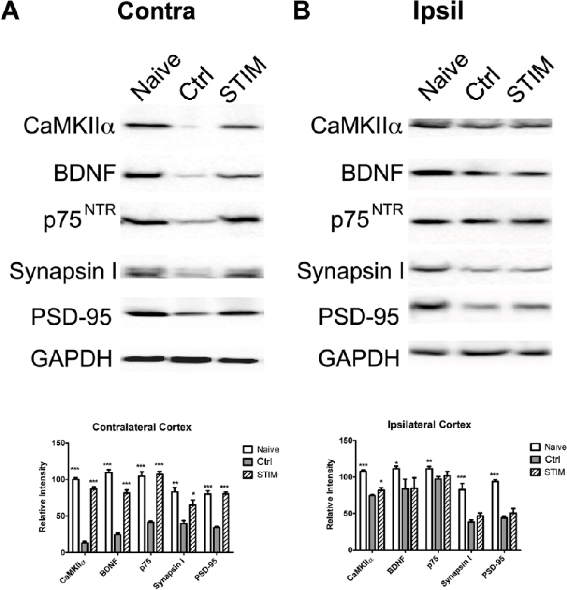 Figure 6: