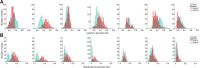Histograms of the (A) lactate-to-pyruvate and (B)
bicarbonate-to-pyruvate ratios in each voxel from the section through the
center of the lesion for each patient (n = 7) with an overlying polynomial
fit; glioblastoma (GBM) data are shown in blue, and the normal-appearing
brain parenchyma (NABP) data are shown in red.