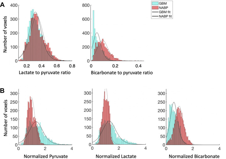 Average labeled metabolite distribution for the entire patient cohort (n = 7). Histograms show the (A) average lactate-to-pyruvate and bicarbonate-to-pyruvate ratios and (B) normalized signal intensities for pyruvate, lactate, and bicarbonate with an overlying polynomial fit. Normalization was performed relative to the normal-appearing brain parenchyma (NABP). Ratios for glioblastoma (GBM) are shown in blue, and ratios for NABP are shown in red.