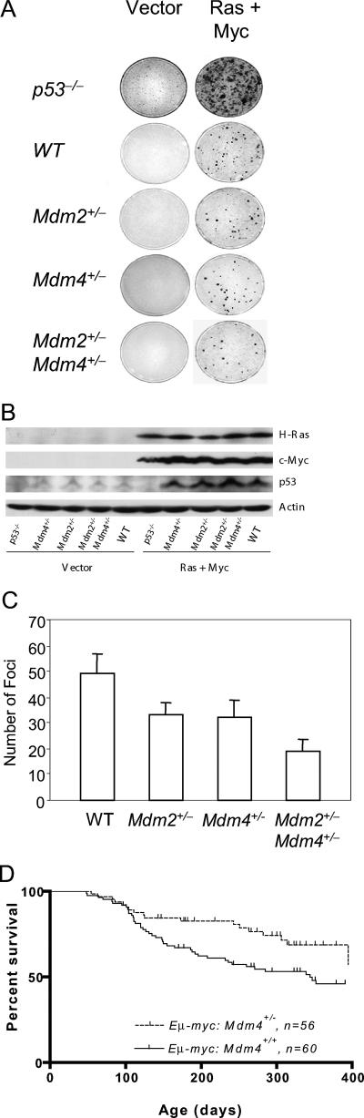 FIG. 5.