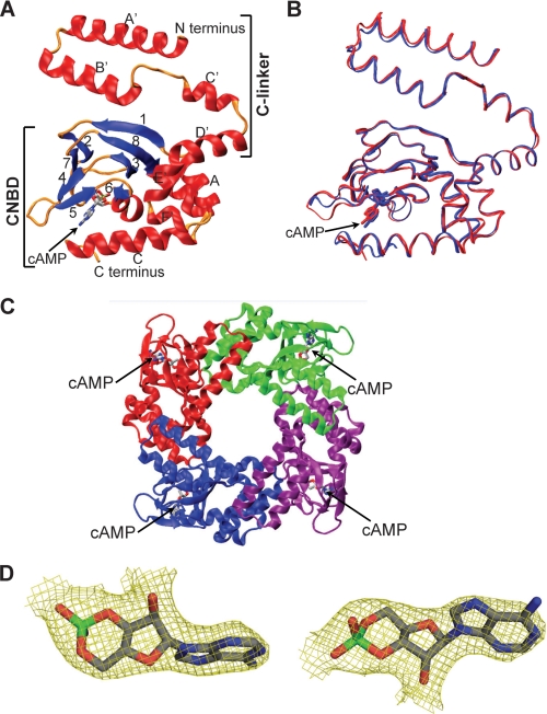 FIGURE 4.