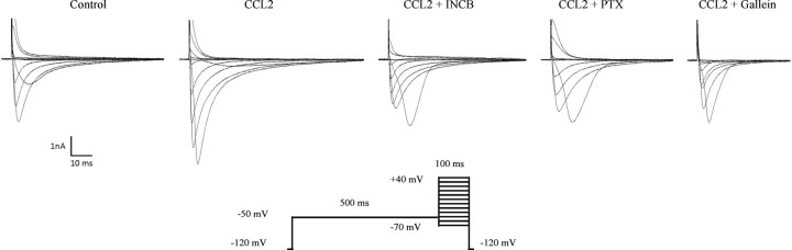 Figure 7.