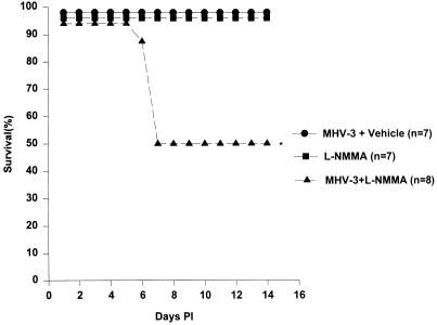 FIG. 6