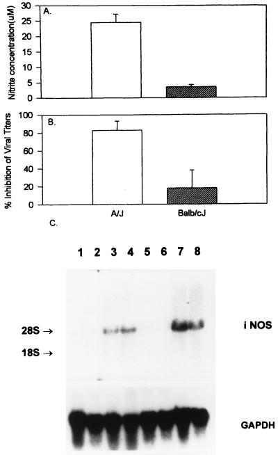 FIG. 5