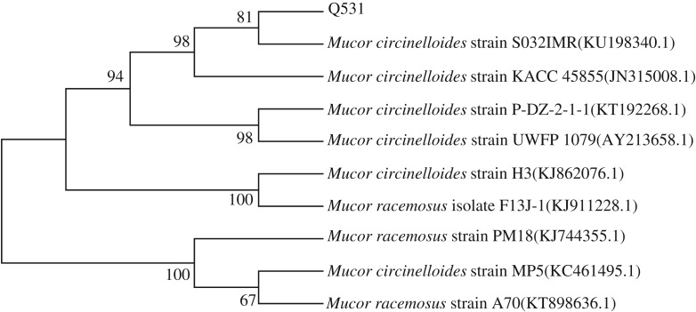 Figure 1.