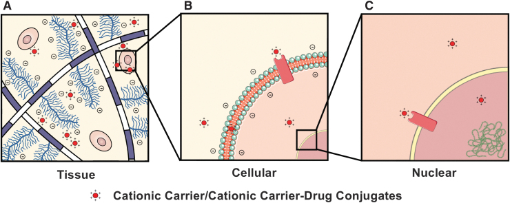 FIG. 1.