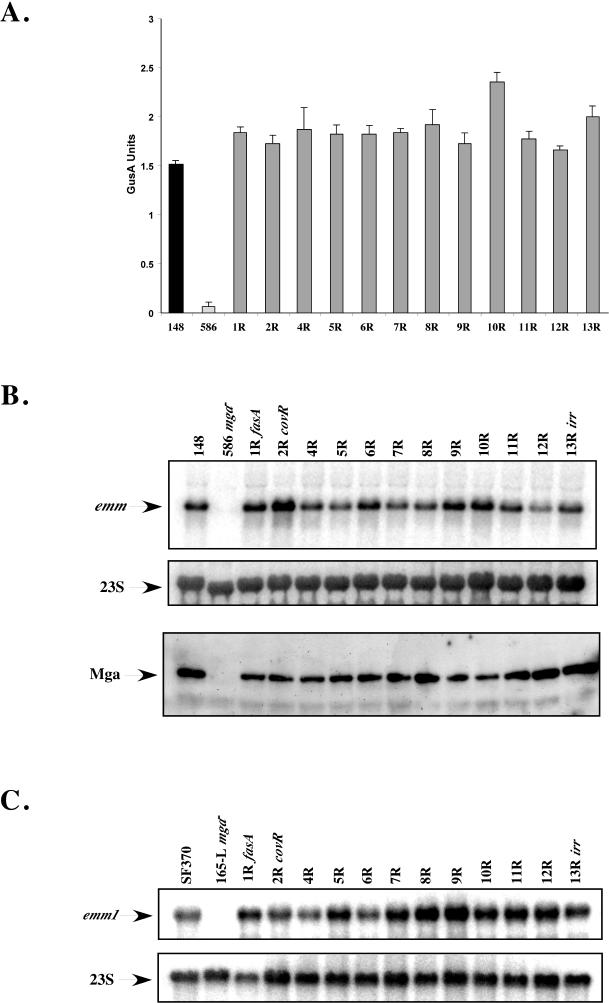 FIG.2.