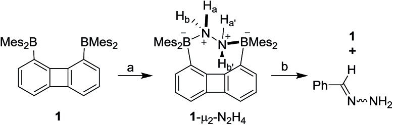 Scheme 2