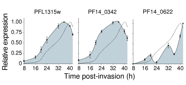 Figure 13