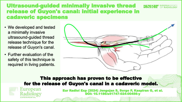 graphic file with name 41747_2024_456_Figa_HTML.jpg