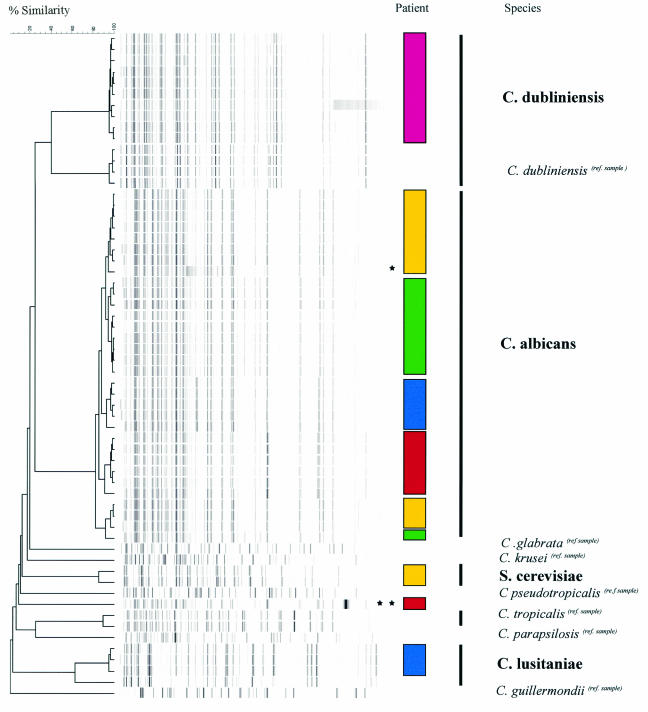 FIG. 1.