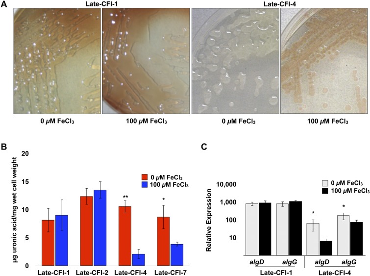 FIG 4