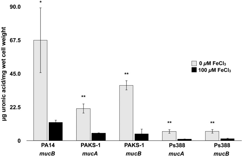 FIG 2