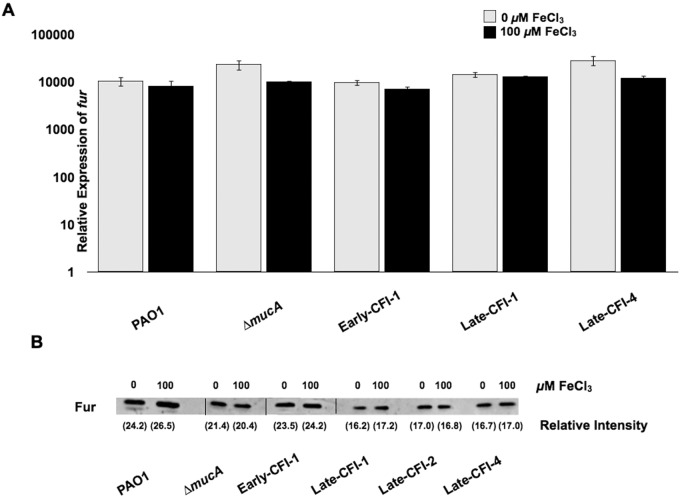 FIG 6