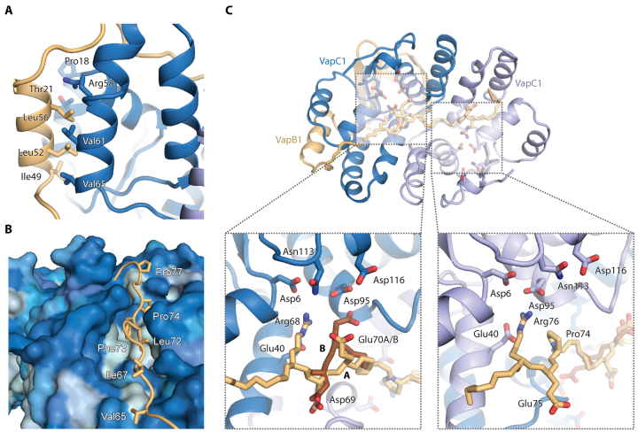 Figure 2.