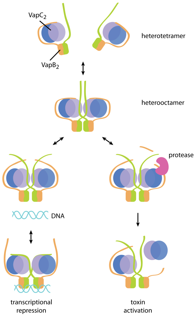 Figure 6.