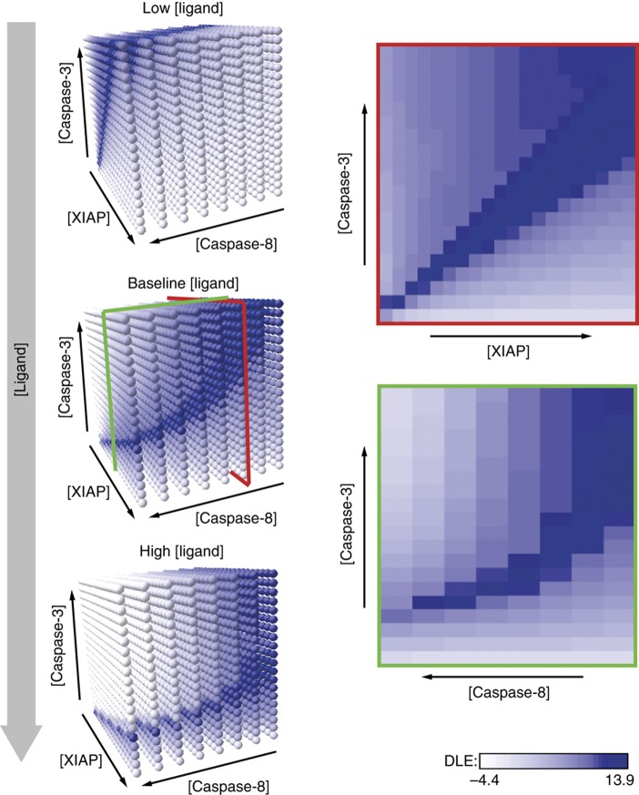 Model analysis using Lyapunov exponents.