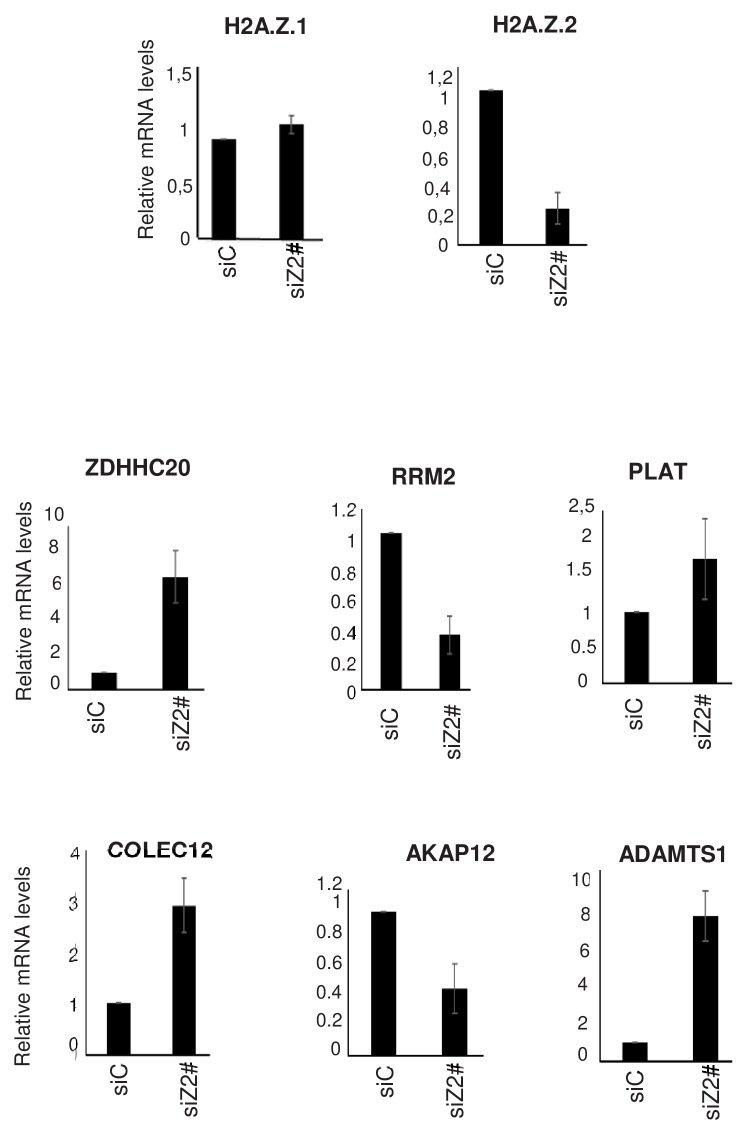 Figure 2—figure supplement 2.