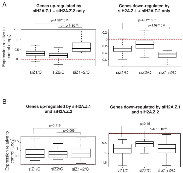 Figure 3—figure supplement 1.