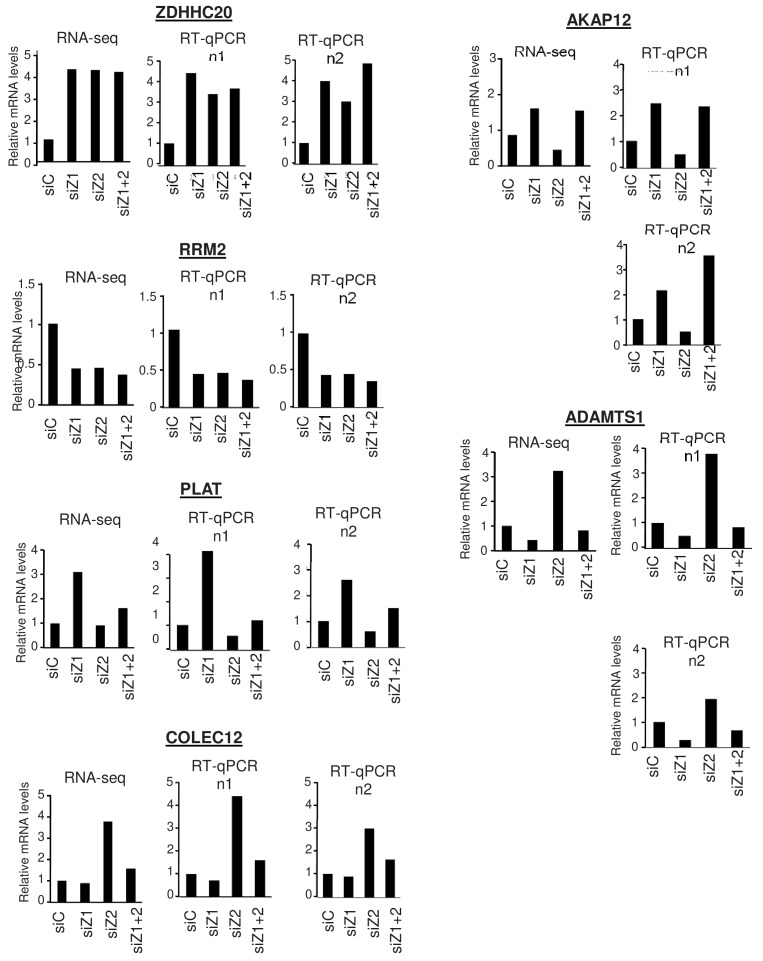 Figure 2—figure supplement 1.