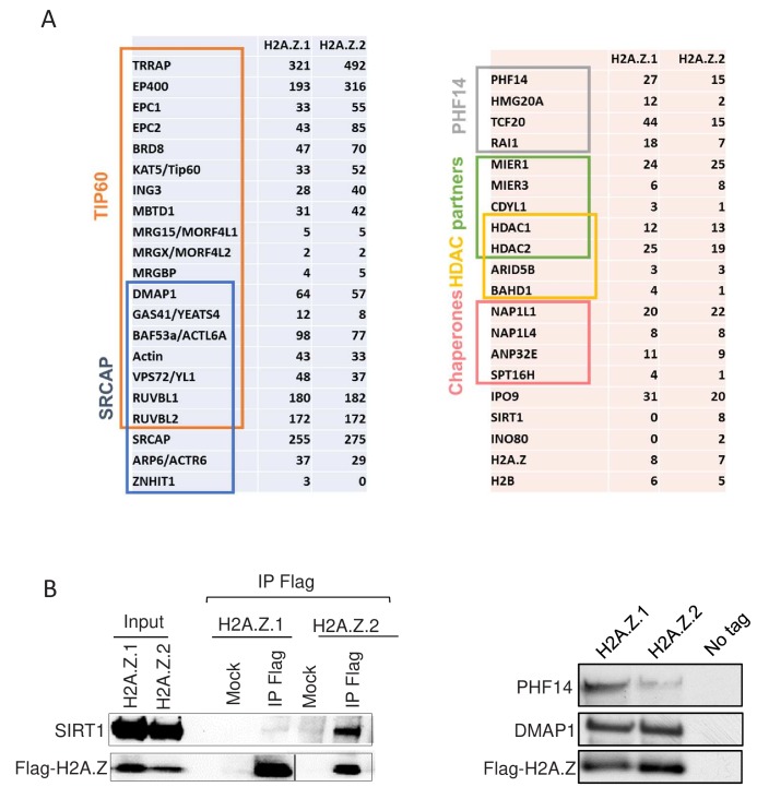 Figure 5—figure supplement 2.